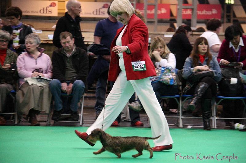 Crufts2011_2 1600.jpg